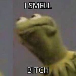 Meet your Posher, Kai